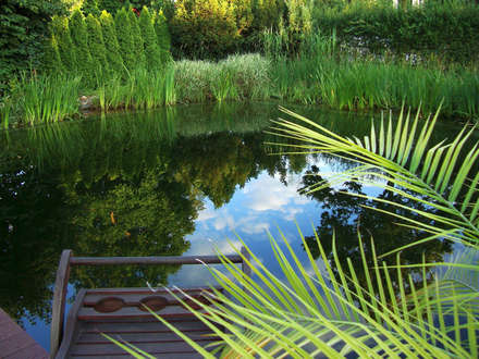 Pleasure Garden: Our swimming pond is available to you for refreshing on hot days