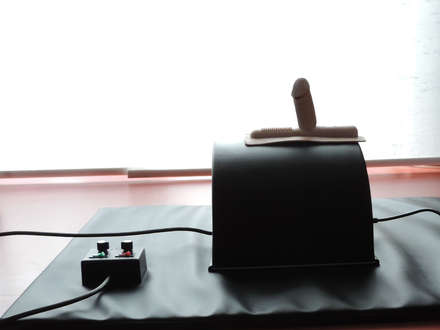 Our toys: Sybian - The ultimate experience for couples